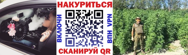 Каннабис планчик  Кущёвская 